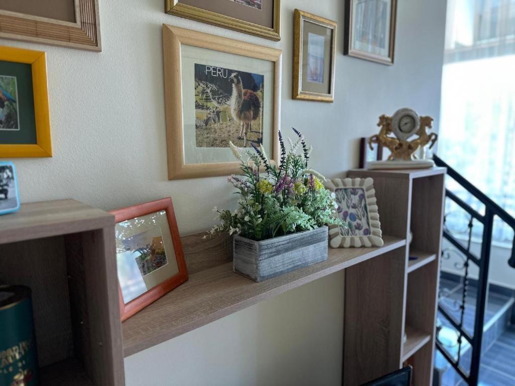 Apartmán Adel'S Subotica Exteriér fotografie